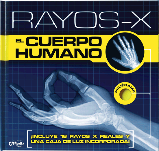 Rayos X - El Cuerpo Humano