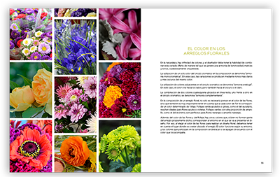 20180912165141-int2-diseños-florales.png