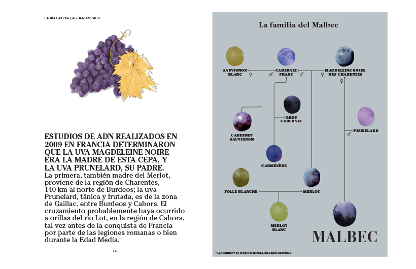 20210915173349-Malbec_mon_amour_AR_int1_web.png