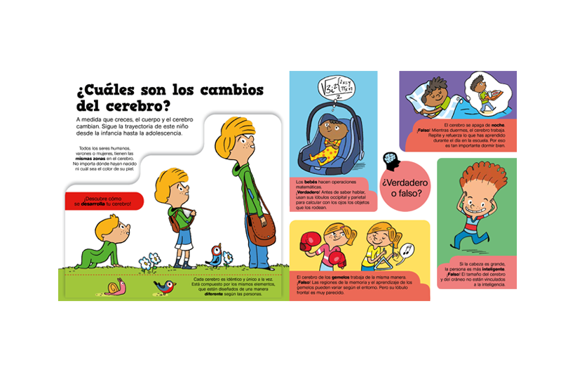 20231020130039-ARG-2-peq-curiosos-cerebro-interiorWEB.png