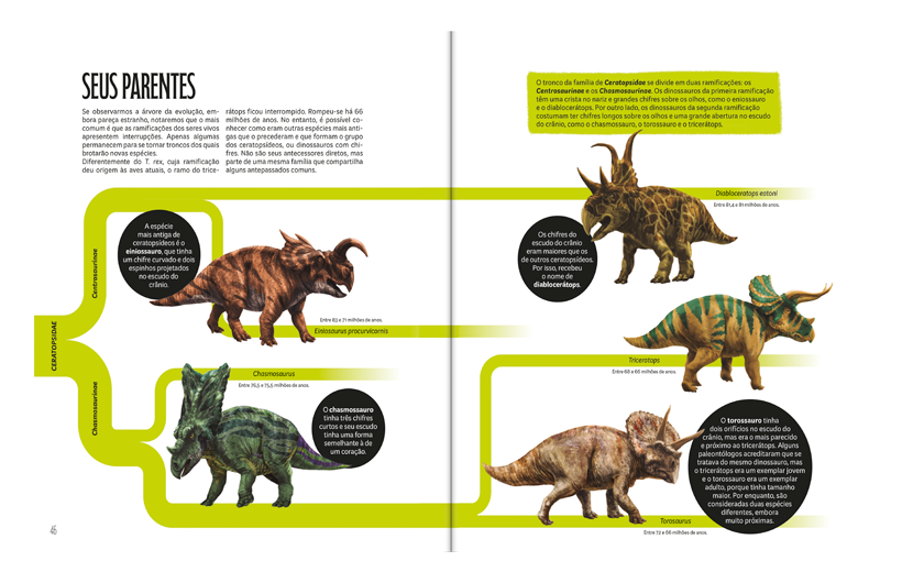 20250116152636-BR-InterioresWeb-2-triceratops.png