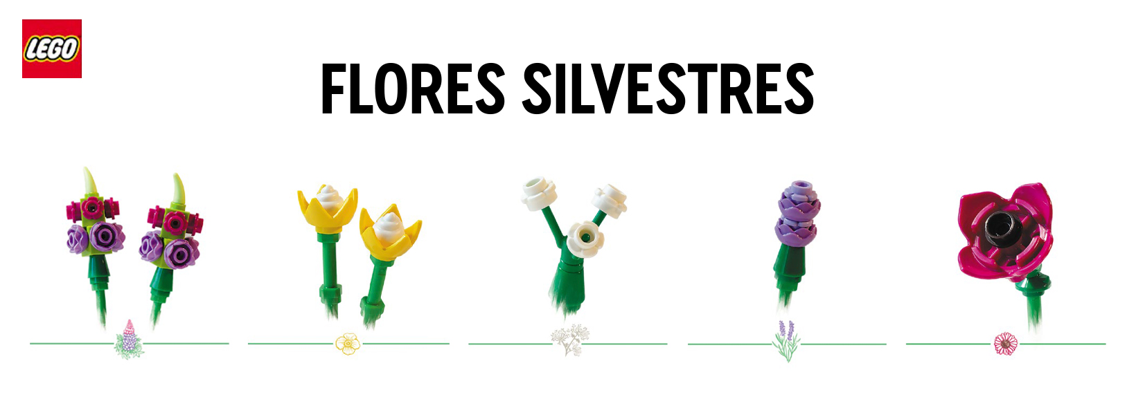 LEGO Botanicals Flores Silvestres
