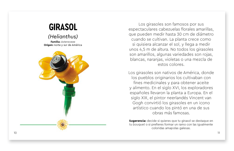 20250404123218-ESP-2-InterioresWeb-LegoFlorSilvestre.png
