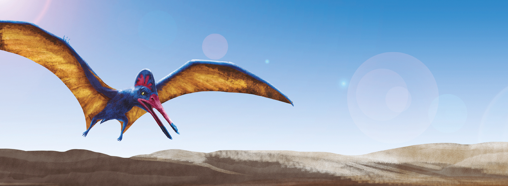 O mundo do Pterodátilo