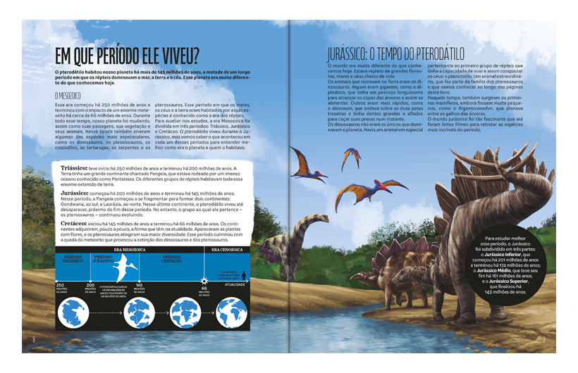 20250807132037-BR-1-InterioresWeb-PterodatiloSC.png