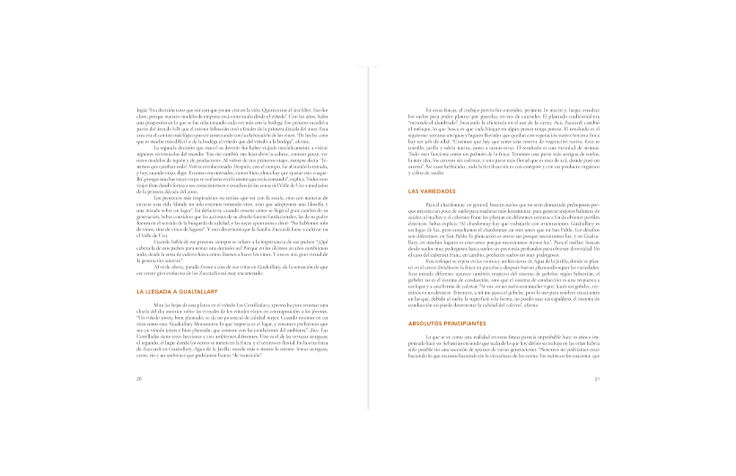 20250917153659-1-cronicas-del-vino-argentino-interiorWEB.png