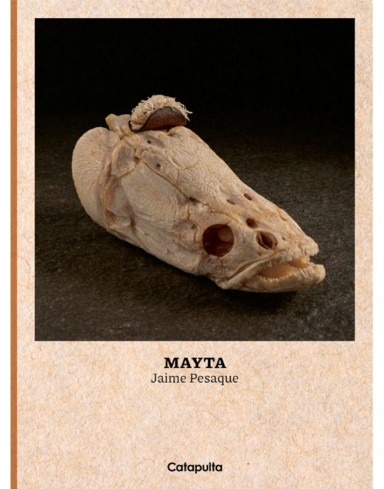 Mayta