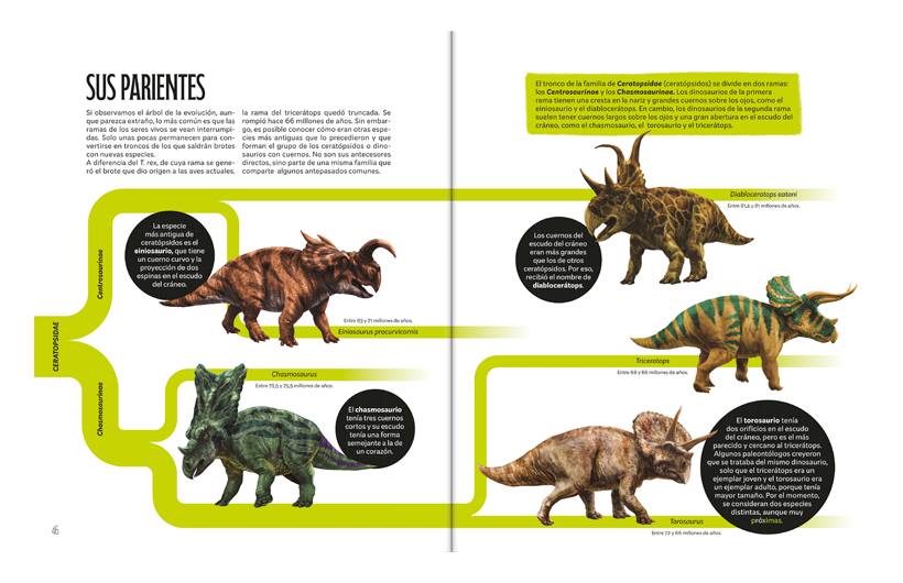 20260722154825-ESP-InterioresWeb-2-triceratops.png